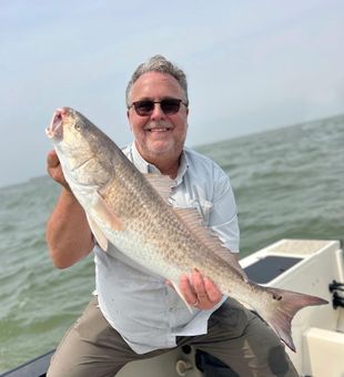 Redfish Frenzy in Galveston